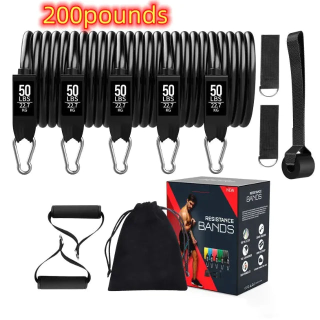 Kit de Bandas de Resistencia Full Body- 200/250/300 lbs